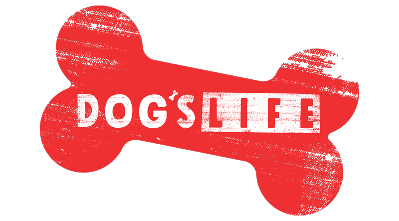 dog's life