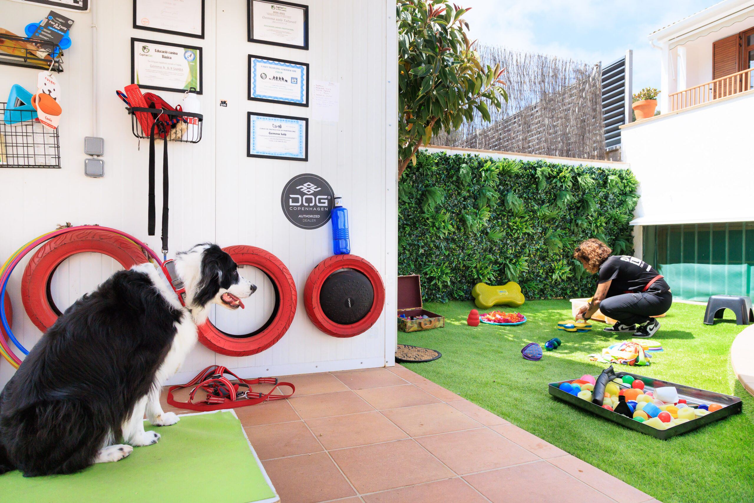 Preparing a sensory garden session